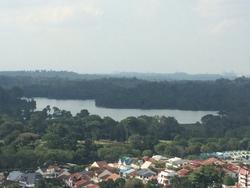 Bishan Point (D20), Condominium #65667862
